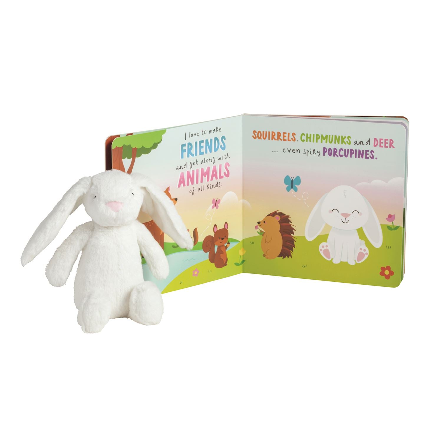 Bunny Book with Plush